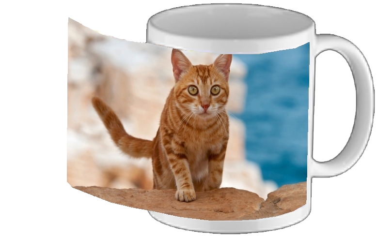 Mug gattino, red tabby, su una scogliera 