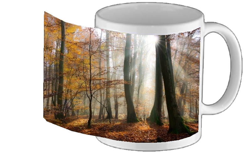 Mug Sun rays in a mystic misty forest 