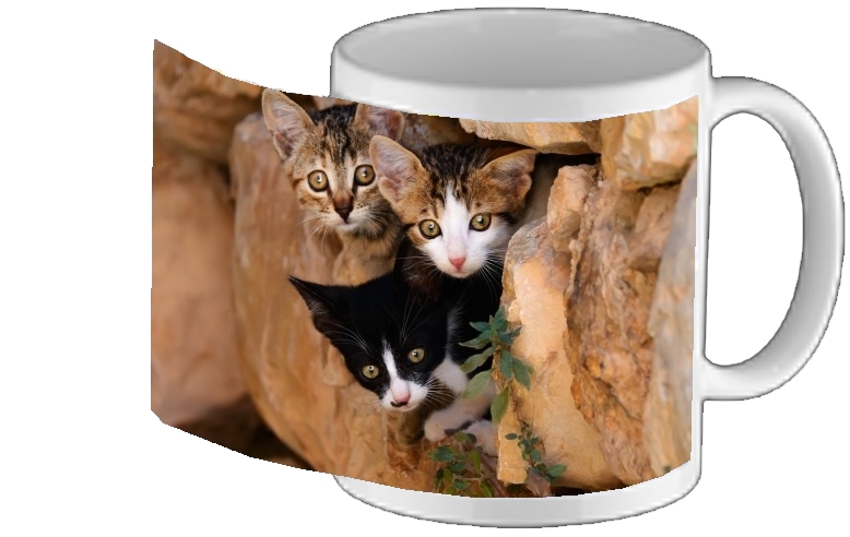 Mug Three cute kittens in a wall hole 