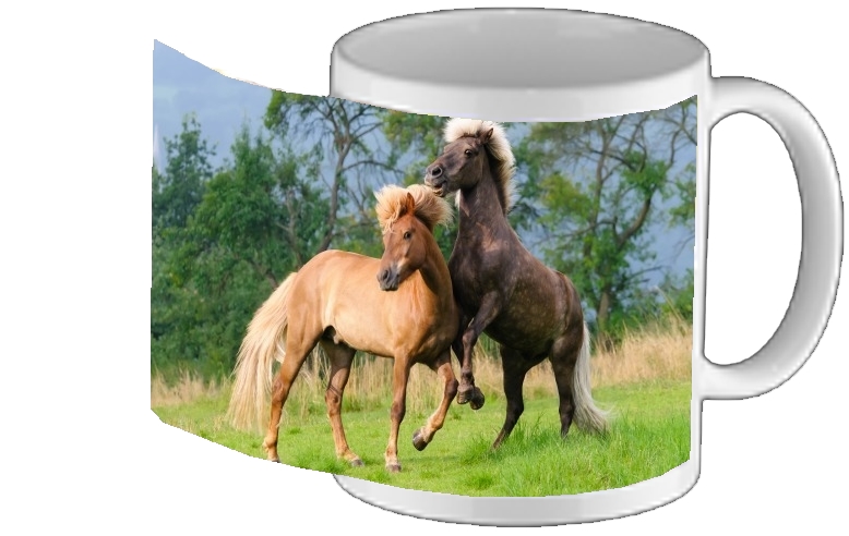 Mug Two Icelandic horses playing, rearing and frolic around in a meadow 