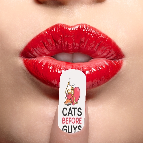  Cats before guy 