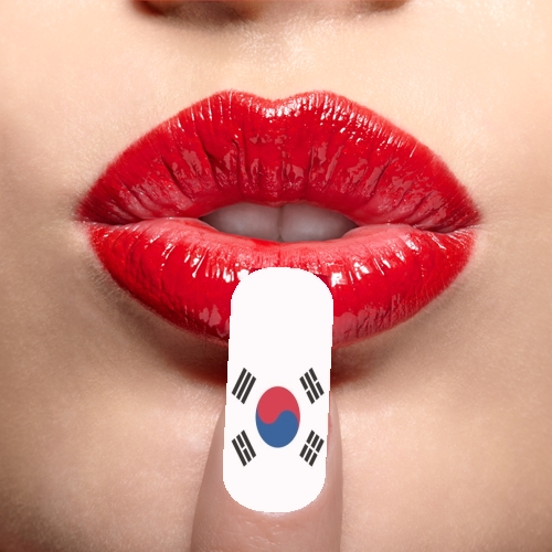  Bandiera della Corea del sud 