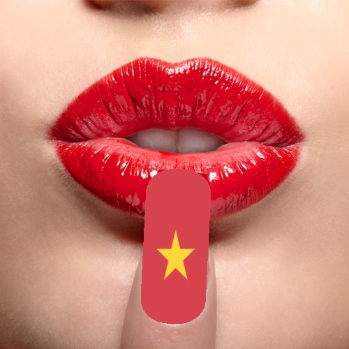  Bandiera del Vietnam 