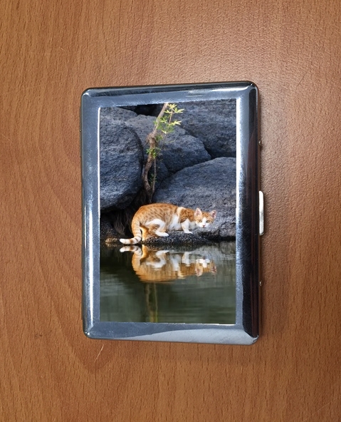 Porte Cat Reflection in Pond Water 