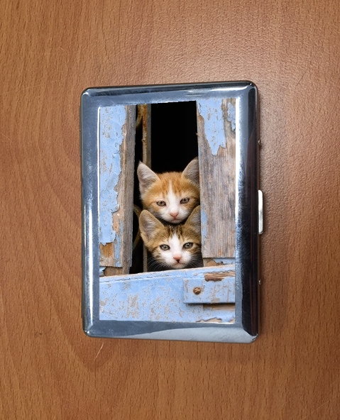 Porte Cute curious kittens in an old window 
