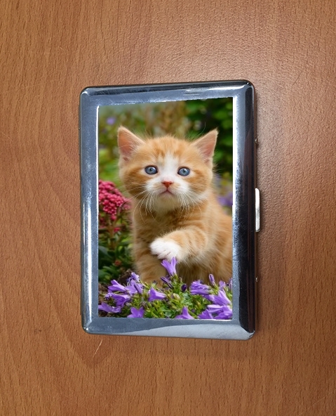 Porte Cute ginger kitten in a flowery garden, lovely and enchanting cat 
