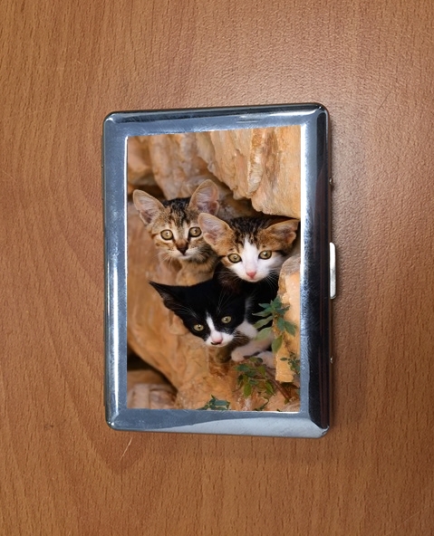 Porte Three cute kittens in a wall hole 