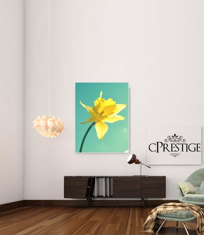 Canvas Daffodil 
