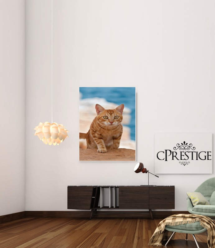 Poster gattino, red tabby, su una scogliera 