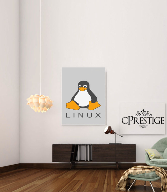 Canvas Linux Hosting 
