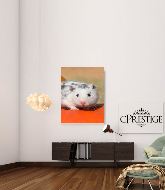 Poster White Dalmatian Hamster with black spots  