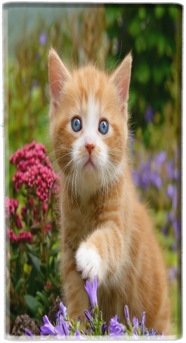 portatile Cute ginger kitten in a flowery garden, lovely and enchanting cat 