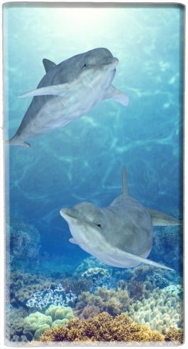 portatile happy dolphins 