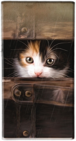 portatile Little cute kitten in an old wooden case 