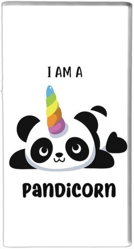 portatile Panda x Licorne Means Pandicorn 