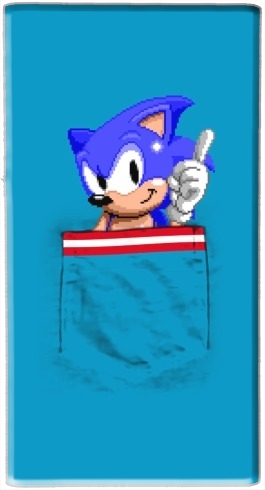 portatile Sonic in the pocket 
