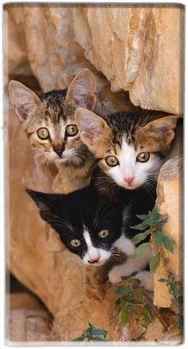 portatile Three cute kittens in a wall hole 
