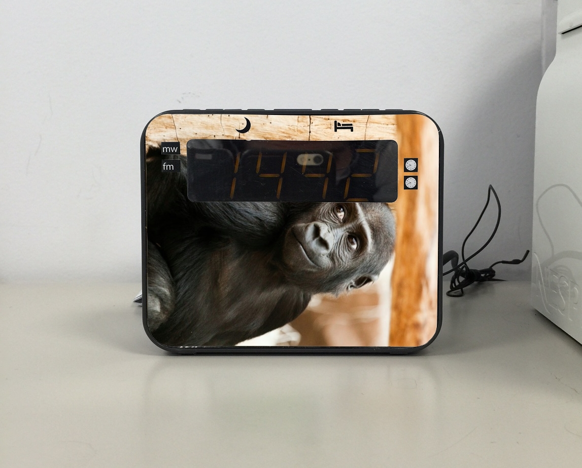 Radio Baby Monkey 