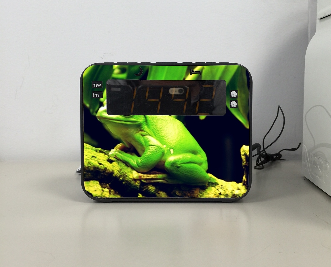 Radio Green Frog 