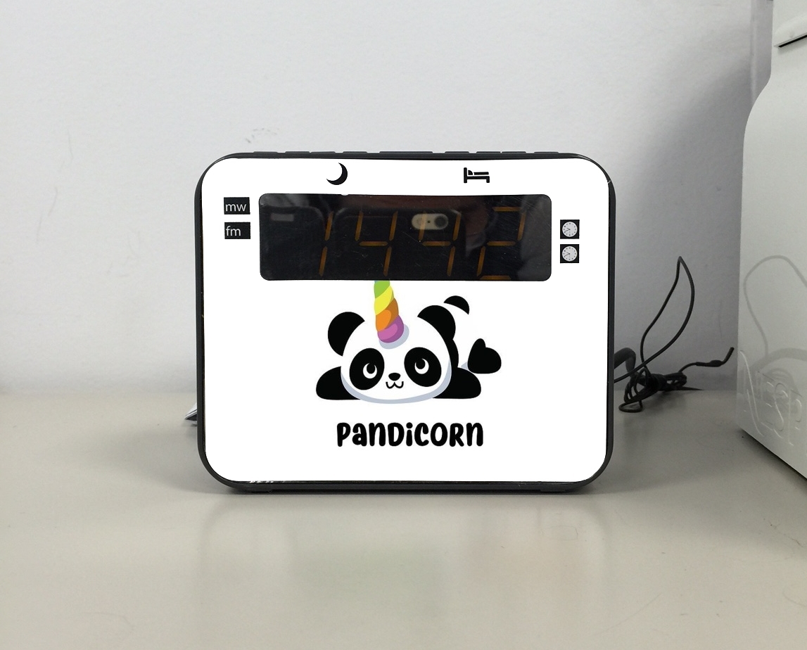Radio Panda x Licorne Means Pandicorn 
