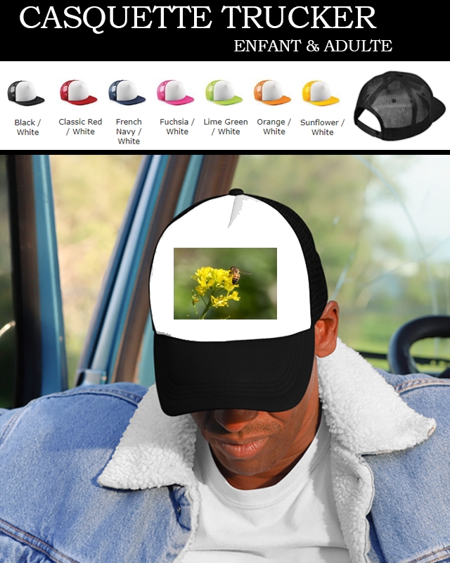 Snapback A bee in the yellow mustard flowers 