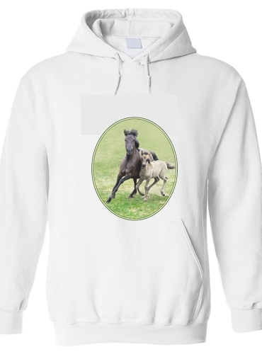 Felpa Horses, wild Duelmener ponies, mare and foal 