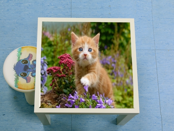 tavolinetto Cute ginger kitten in a flowery garden, lovely and enchanting cat 
