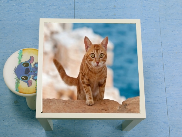 tavolinetto gattino, red tabby, su una scogliera 