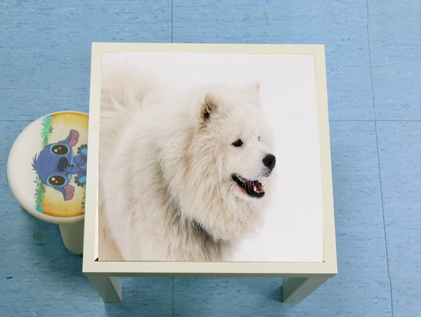 table d'appoint samoyede dog
