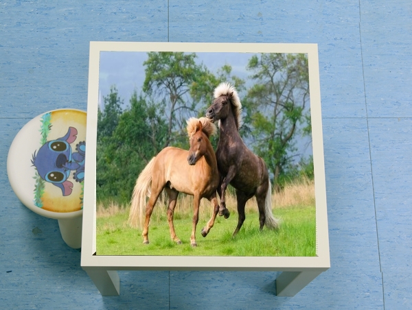 table d'appoint Two Icelandic horses playing, rearing and frolic around in a meadow