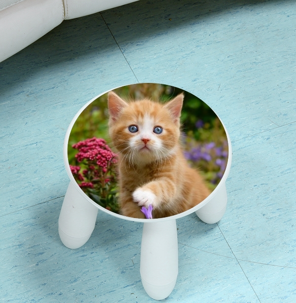 sgabello Cute ginger kitten in a flowery garden, lovely and enchanting cat 