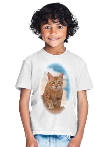 tshirt enfant gattino, red tabby, su una scogliera