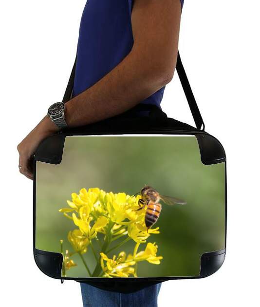 borsa A bee in the yellow mustard flowers 