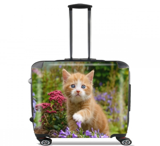Wheeled Cute ginger kitten in a flowery garden, lovely and enchanting cat 
