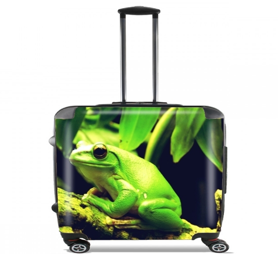 Wheeled Green Frog 