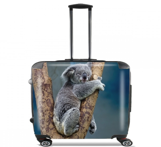 Wheeled Koala Bear Australia 