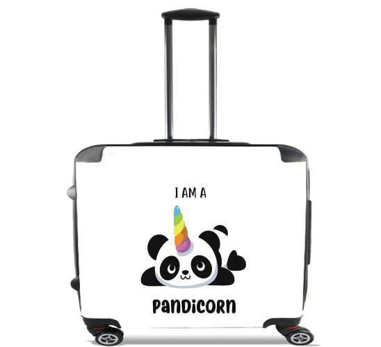 Wheeled Panda x Licorne Means Pandicorn 