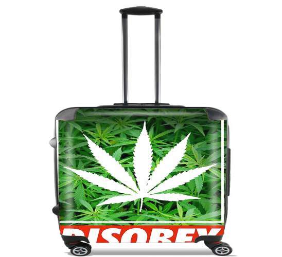 Wheeled Weed Cannabis Disobey 