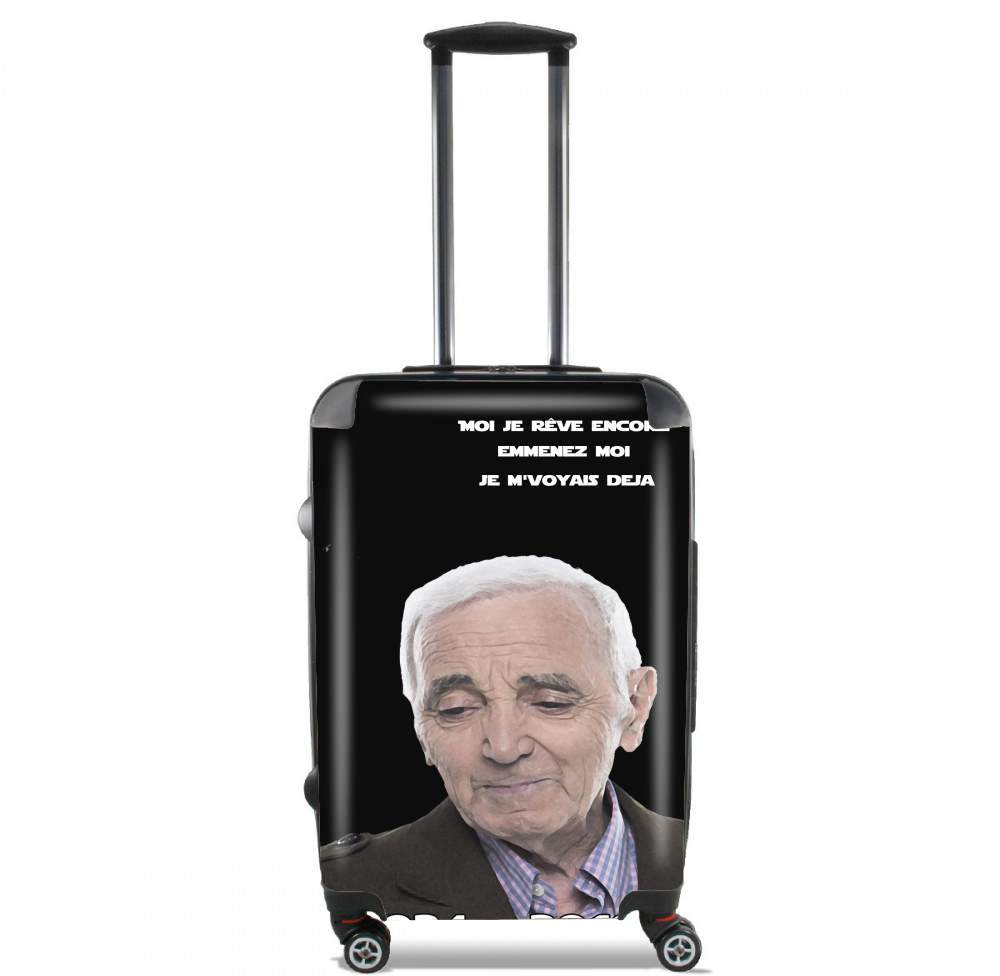 valise Aznavour Hommage Fan Tribute