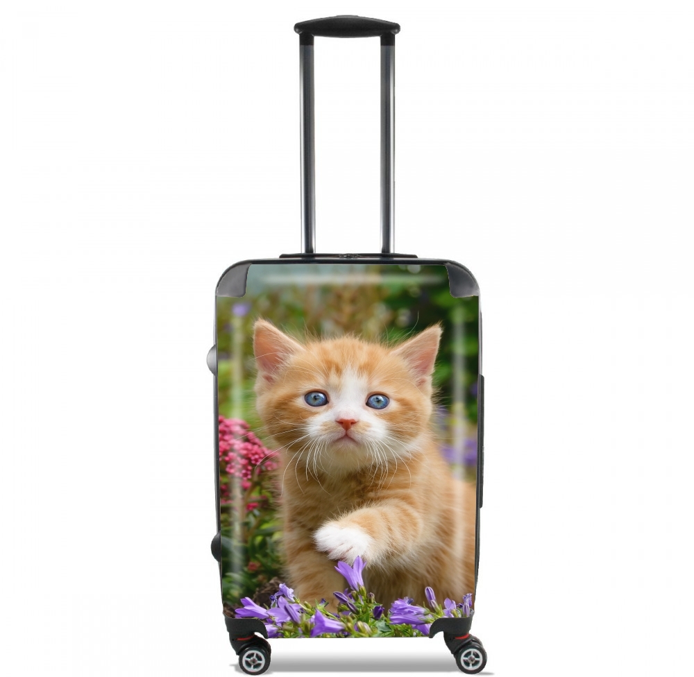 valise Cute ginger kitten in a flowery garden, lovely and enchanting cat
