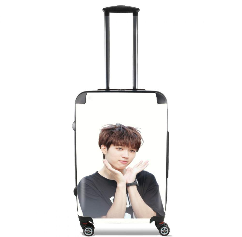 valise INFINITE Nam Woohyu