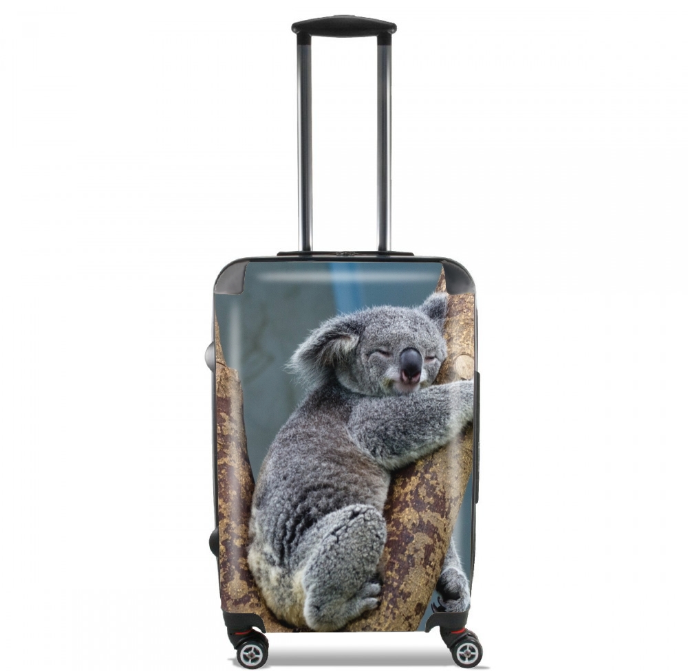 Valigia Koala Bear Australia 