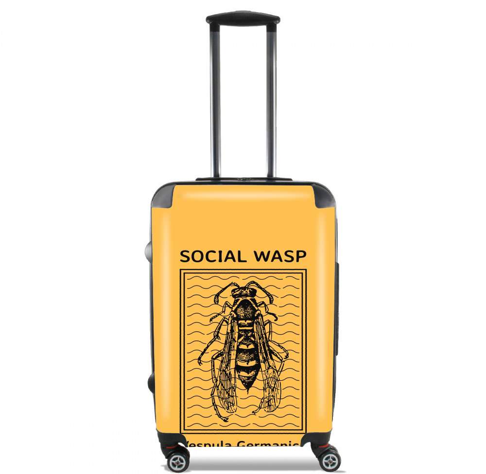 Valigia Social Wasp Vespula Germanica 